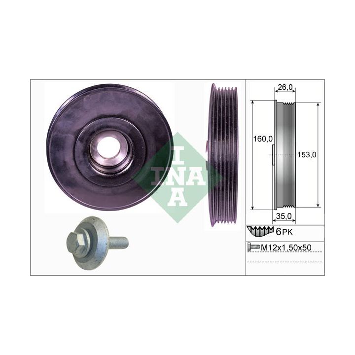 Alkūninio veleno skriemulių rinkinys INA 544 0079 20