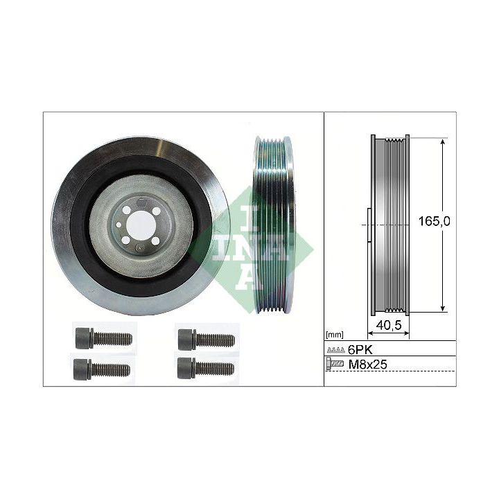 Alkūninio veleno skriemulių rinkinys INA 544 0080 20