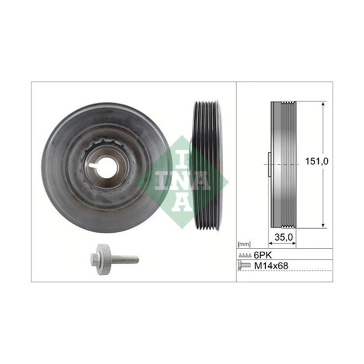 Alkūninio veleno skriemulių rinkinys INA 544 0090 20