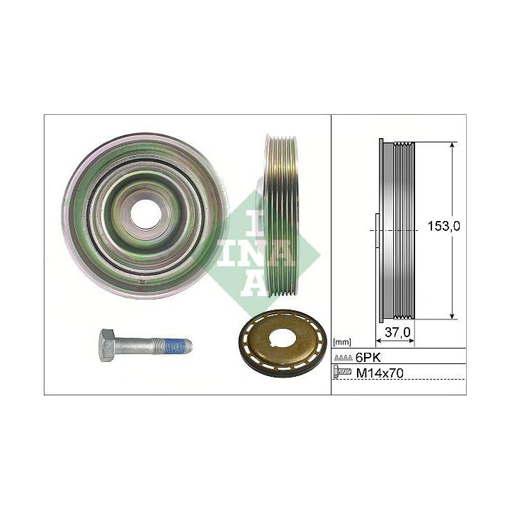 Alkūninio veleno skriemulių rinkinys INA 544 0097 21