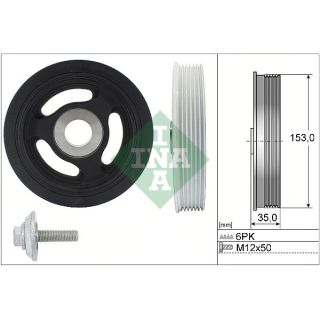 Alkūninio veleno skriemulių rinkinys INA 544 0104 20