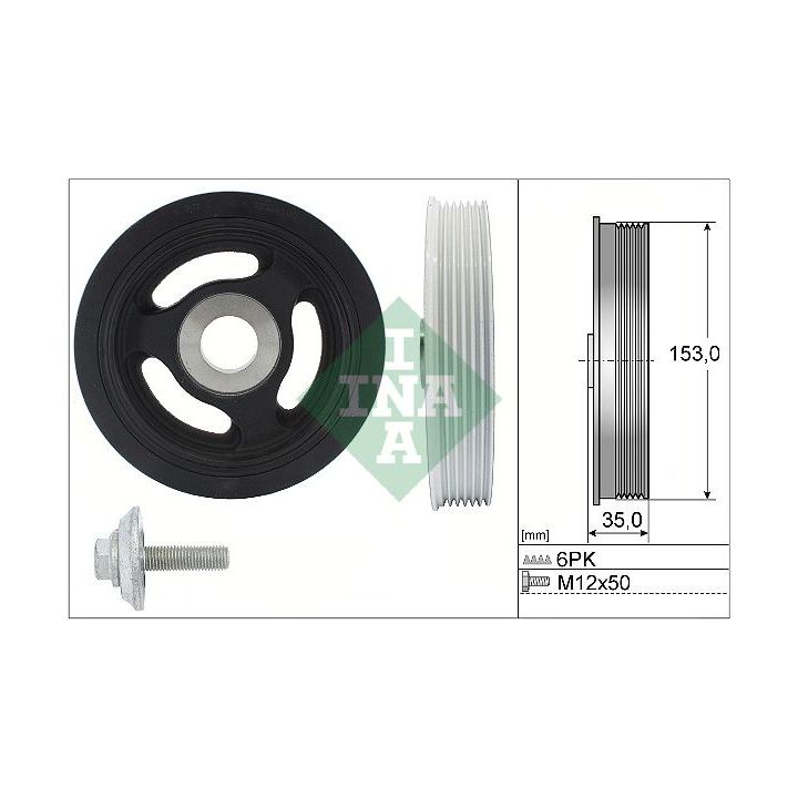 Alkūninio veleno skriemulių rinkinys INA 544 0104 20