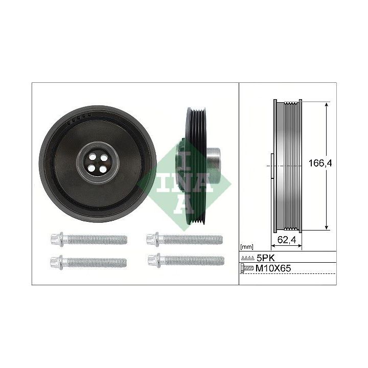 Alkūninio veleno skriemulių rinkinys INA 544 0171 20