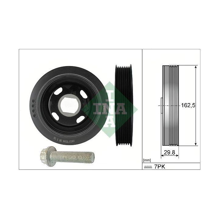 Alkūninio veleno skriemulių rinkinys INA 544 0179 20