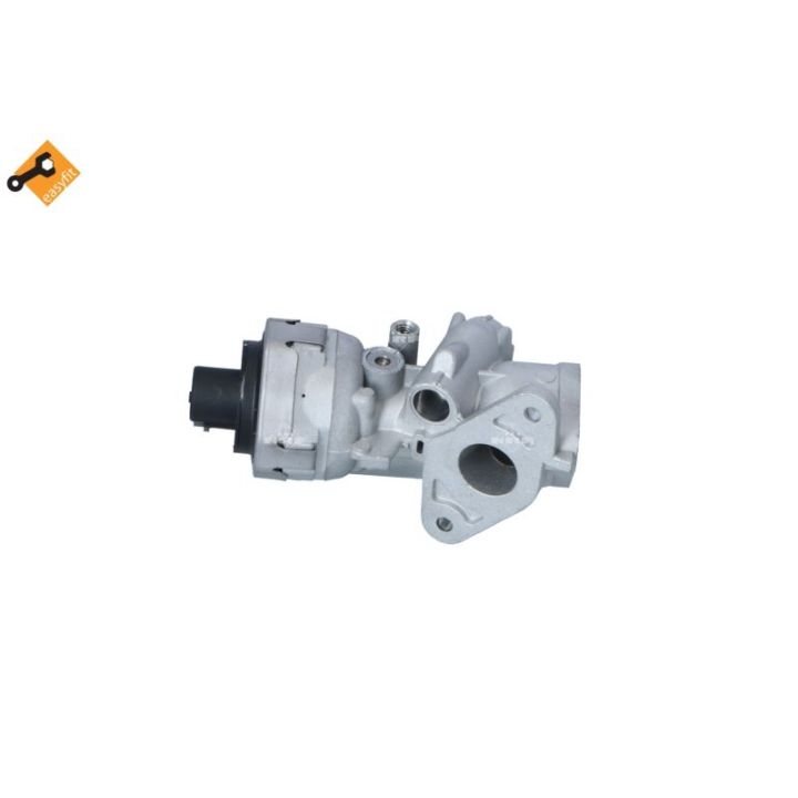 ERG vožtuvas NRF 48322