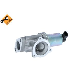 ERG vožtuvas NRF 48384