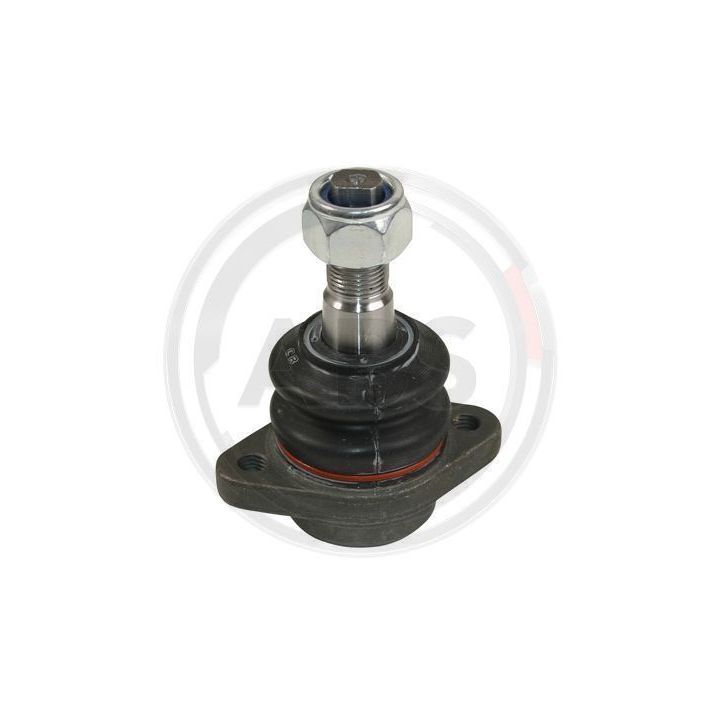 Šarnyras / girgždukas A.B.S. 220326