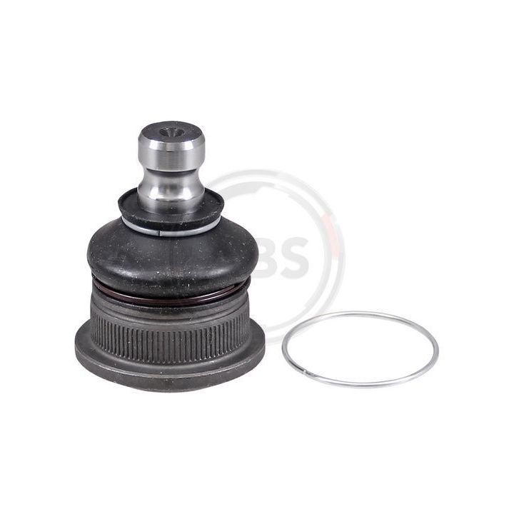 Šarnyras / girgždukas A.B.S. 220419