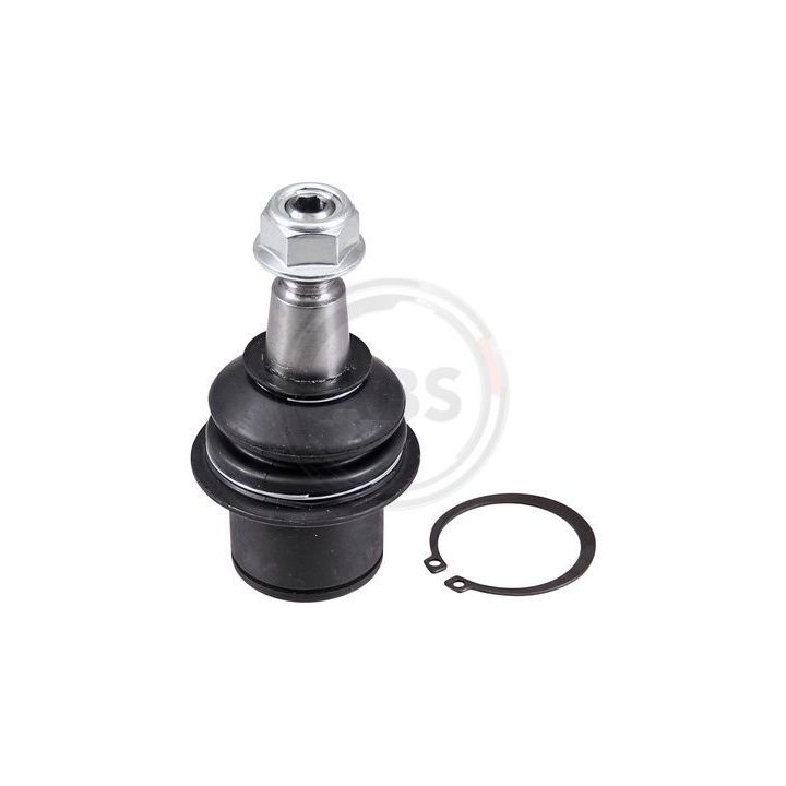 Šarnyras / girgždukas A.B.S. 220457