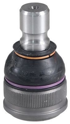 Šarnyras / girgždukas A.B.S. 220597