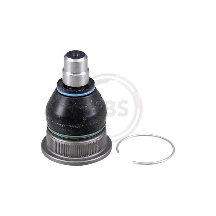 Šarnyras / girgždukas A.B.S. 220621