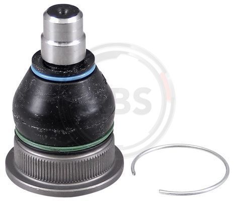 Šarnyras / girgždukas A.B.S. 220621