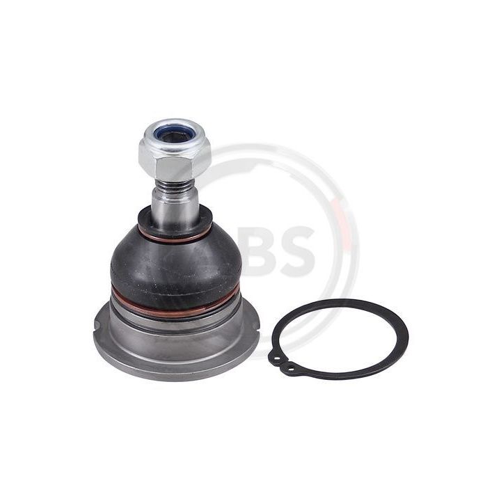 Šarnyras / girgždukas A.B.S. 220712