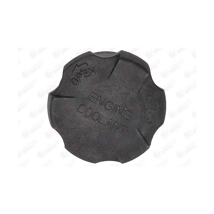 Dangtelis, radiatorius BIRTH 80689