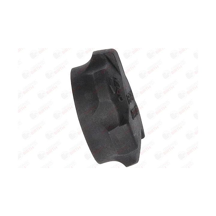 Dangtelis, radiatorius BIRTH 80689