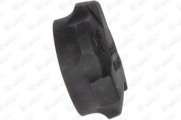 Dangtelis, radiatorius BIRTH 80689