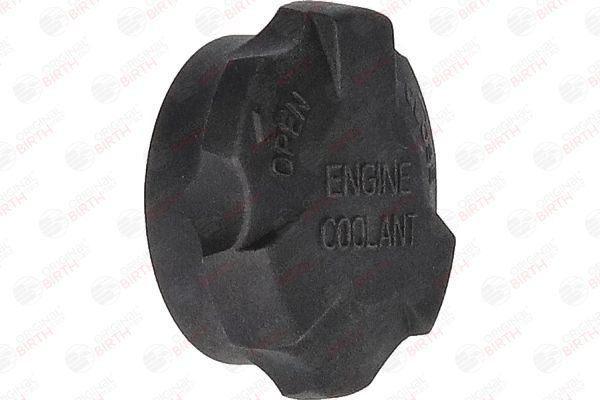 Dangtelis, radiatorius BIRTH 80689