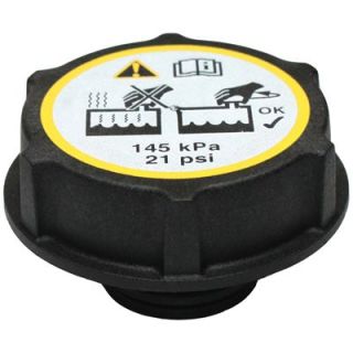 Dangtelis, radiatorius BIRTH 8850