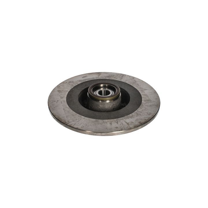 Stabdžių diskas BIRTH 3481