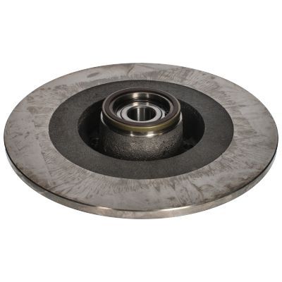 Stabdžių diskas BIRTH 3481