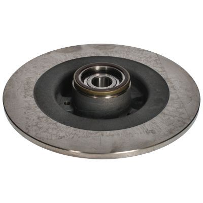 Stabdžių diskas BIRTH 3484