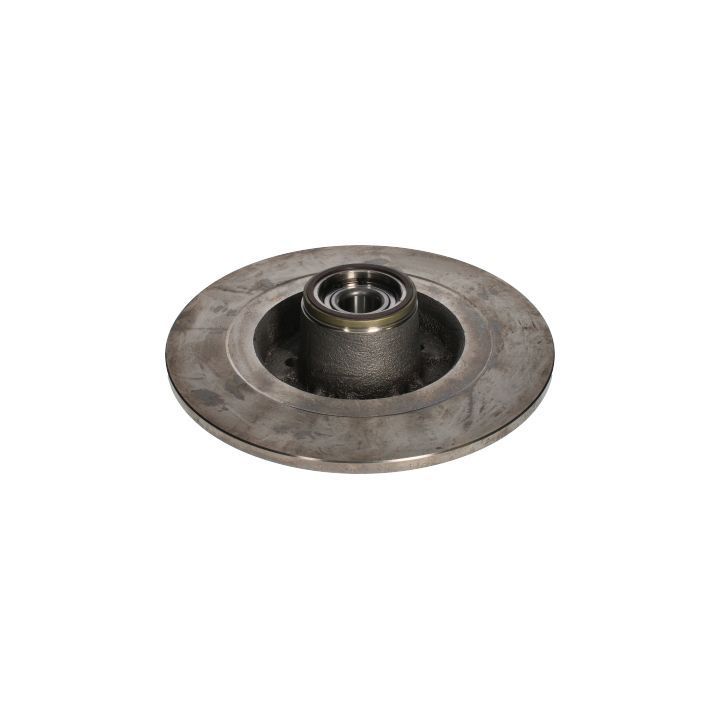 Stabdžių diskas BIRTH 3489