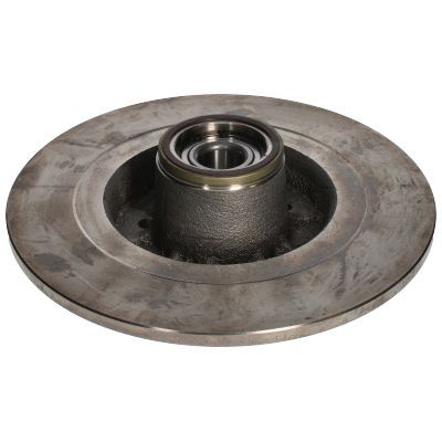 Stabdžių diskas BIRTH 3489