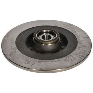 Stabdžių diskas BIRTH 3493