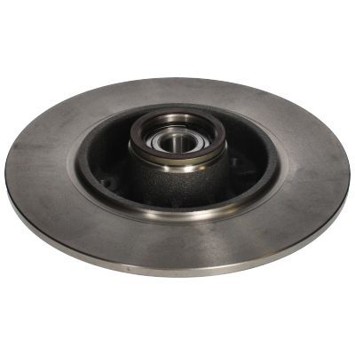 Stabdžių diskas BIRTH 3494