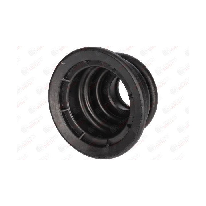 Gofruotoji membrana, kardaninis velenas BIRTH 7005