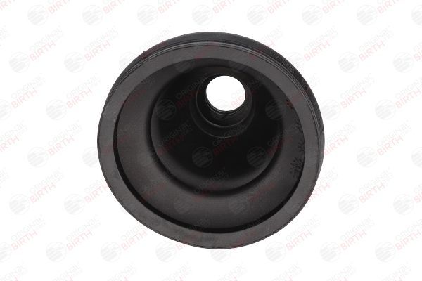 Gofruotoji membrana, kardaninis velenas BIRTH 7036