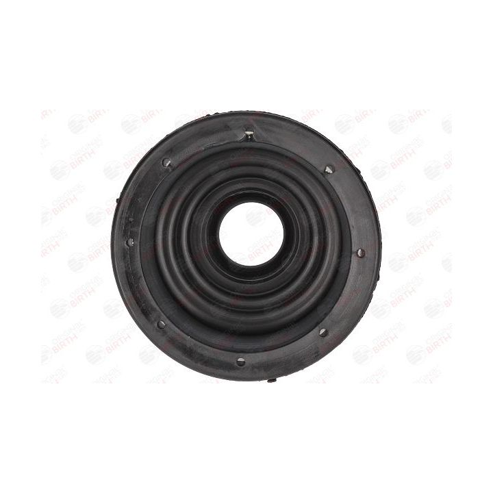 Gofruotoji membrana, kardaninis velenas BIRTH 7039