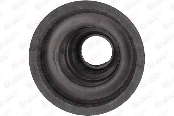 Gofruotoji membrana, kardaninis velenas BIRTH 7187