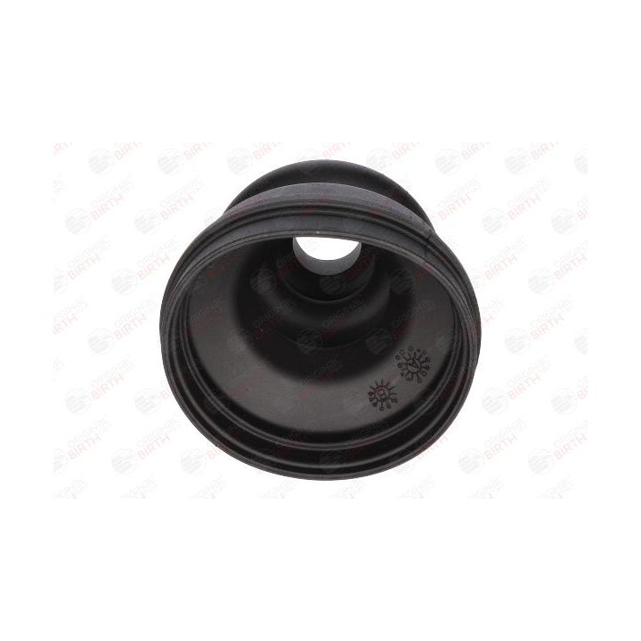 Gofruotoji membrana, kardaninis velenas BIRTH 7226