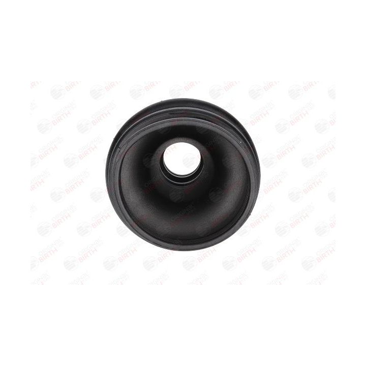 Gofruotoji membrana, kardaninis velenas BIRTH 7277