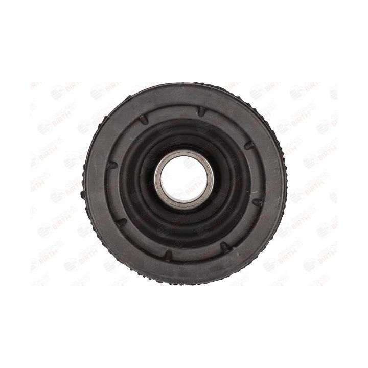 Gofruotoji membrana, kardaninis velenas BIRTH 7332