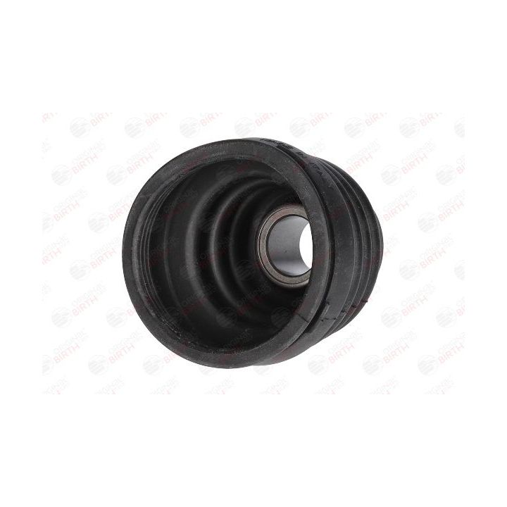 Gofruotoji membrana, kardaninis velenas BIRTH 7516