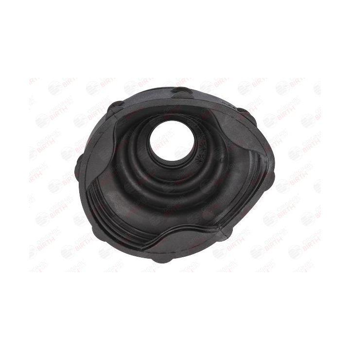 Gofruotoji membrana, kardaninis velenas BIRTH 7565