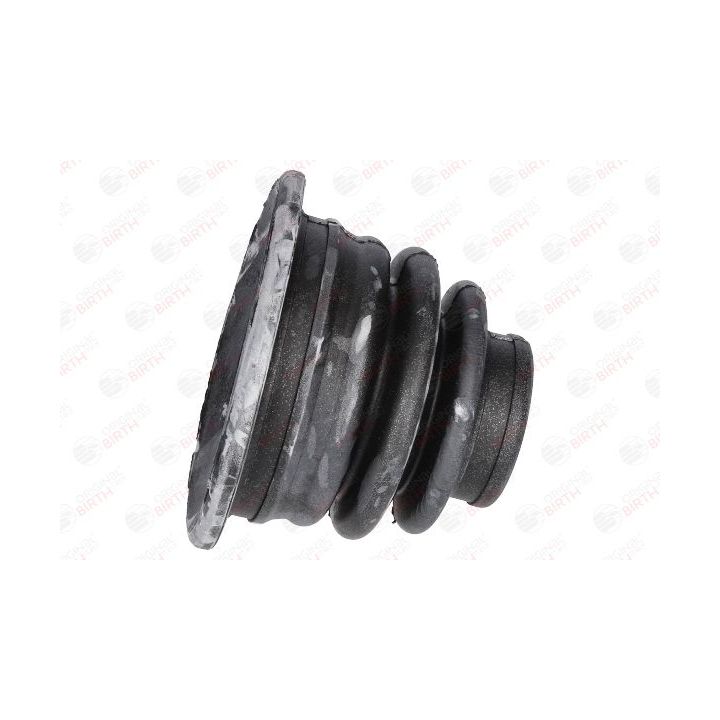 Gofruotoji membrana, kardaninis velenas BIRTH 7573