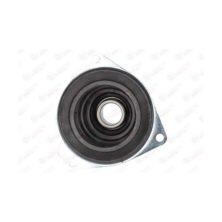 Gofruotoji membrana, kardaninis velenas BIRTH 7578