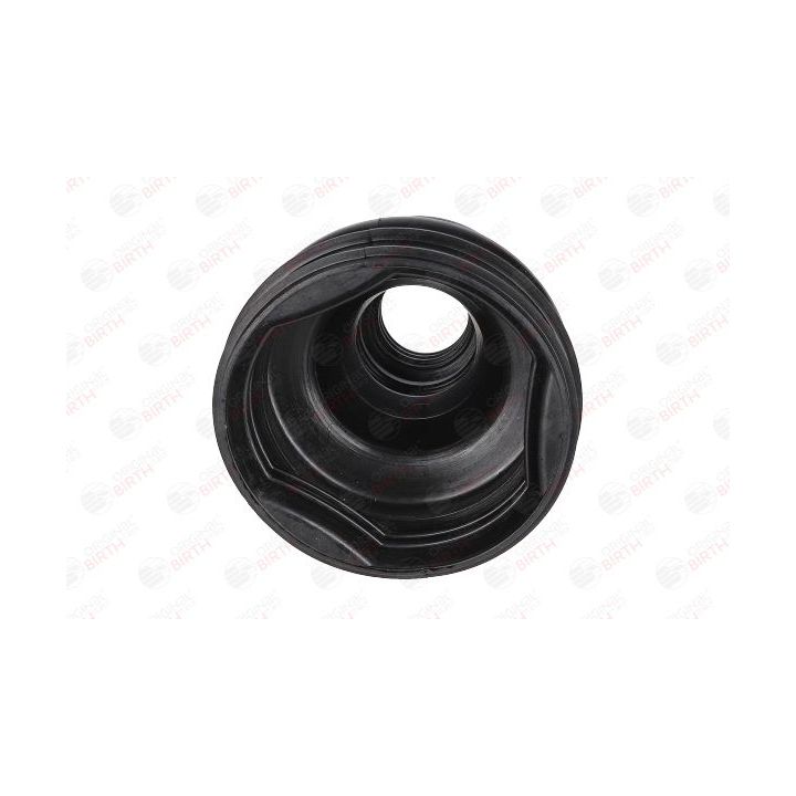 Gofruotoji membrana, kardaninis velenas BIRTH 7659