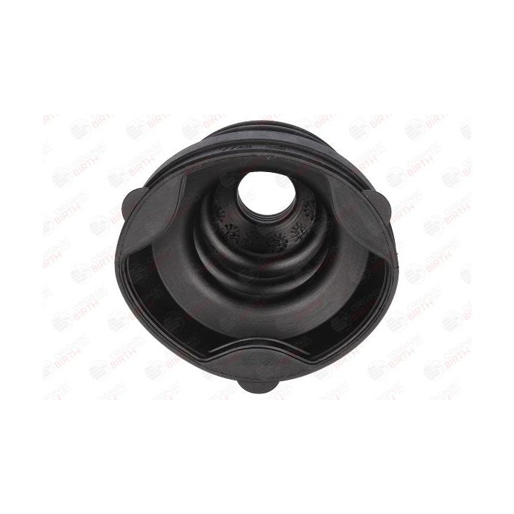 Gofruotoji membrana, kardaninis velenas BIRTH 7746