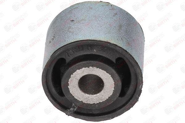 Variklio montavimas BIRTH 2087