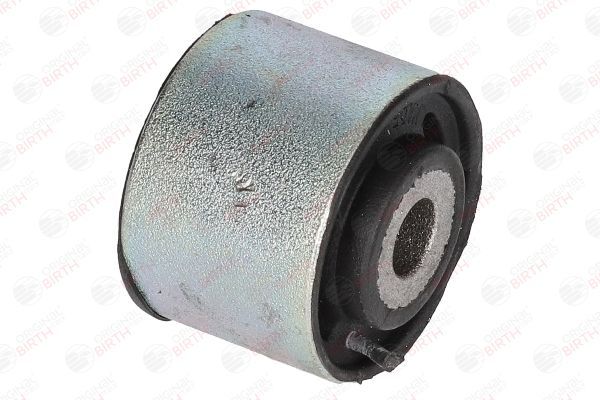 Variklio montavimas BIRTH 2087