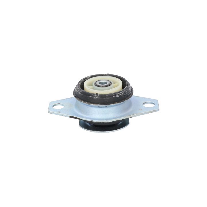 Variklio montavimas BIRTH 50043