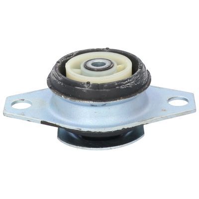 Variklio montavimas BIRTH 50043