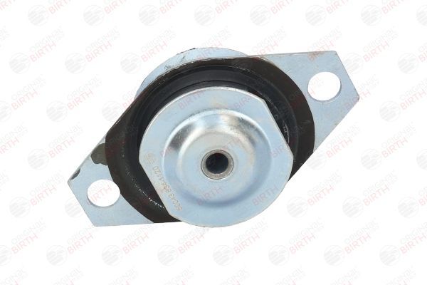 Variklio montavimas BIRTH 50043