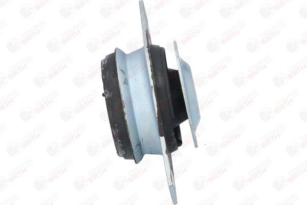 Variklio montavimas BIRTH 50043