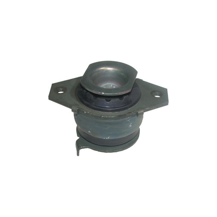 Variklio montavimas BIRTH 50044