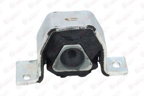 Variklio montavimas BIRTH 50045